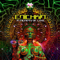 Elementary Particles - Enichkin