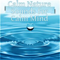 Peaceful Music - Hypnosis Nature Sounds Universe