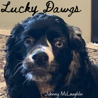 The Lucky Dawgs - Johnny Mclaughlin