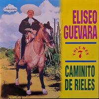 Eres Zapato Pisado - Eliseo Guevara