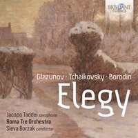 String Quartet No. 2 in D Major: III. Nocturne - Jacopo Taddei & Roma Tre Orchestra & Sieva Borzak