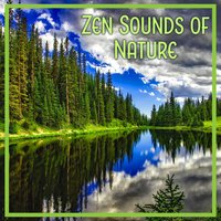 Spa and Wellness - Zen Natural Sounds