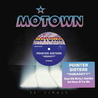 Insanity - The Pointer Sisters & Steve "Silk" Hurley
