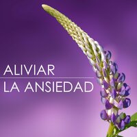 Calma Tus Nervios - Calmar la Ansiedad