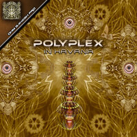 One Night With Molly - Polyplex