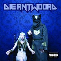 Evil Boy - Die Antwoord