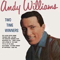 So Rare - Andy Williams