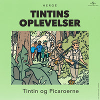 Tintin og Picaroerne - Tintin