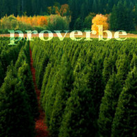 Proverbe 30 - Relate4ever