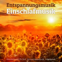 Gesunde Nacht - Entspannungsmusik & Einschlafmusik für Dich & Schlafmusik