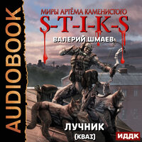 Шмаев Валерий. «Миры Артёма Каменистого. S-T-I-K-S. Лучник 2 (кваз)». Часть 20 - Евгений Лебедев