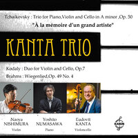 Piano Trio in A Minor, Op. 50 ''A la mémoire d'un grand artist'': IIb. Variazione finale e coda. Allegro risoluto e con fuoco - Naoya Nishimura & Ludovit Kanta & Yoshito Numasawa & Пётр Ильич Чайковский