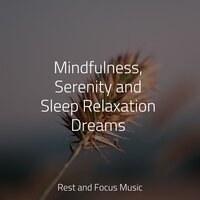 Calmness and Serenity - Spa Zen & Sounds of Nature White Noise Sound Effects & Meditation Awareness