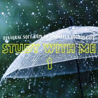 Binaural Soft Rain on Umbrella Soundscape, Pt. 5 - Bryan Maxwell