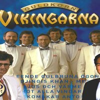 Nikita - Vikingarna