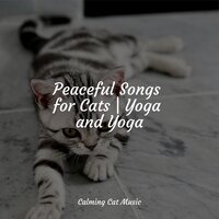 Welness and Mindfulness - Jazz Music Therapy for Cats & Music for Cats Project & Cat Music
