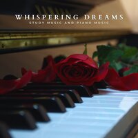 Piano Music Sleep - Study Music and Piano Music