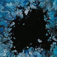 Mister Kingdom - Amee