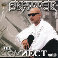 The Con-nect - Snapper