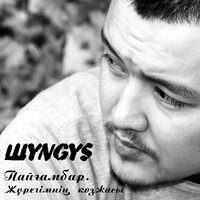 Соңғы мүмкіндік - ШYNGYS