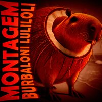 MONTAGEM BURBALONI LULILOLI - DJ NEY7 DA ZL
