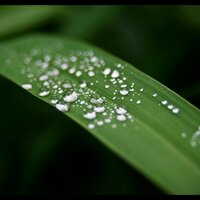 Sweet Dew Meadow - Cafe Les Costes Club DJ Chillout