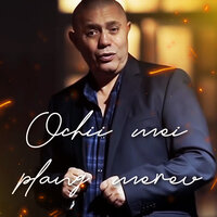 Frații care se iubesc - Nicolae Guta & Puisor De La Medias