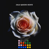 Solo Quiero Verte - Waone
