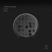 Techno - Fabrice Torricella & Sonotik