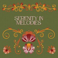 Pacifying melodies - Harmonies for relaxation & Quiet melodies & Music to calm