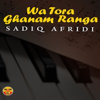 Tora Ghanam Ranga Janana - Sadiq Afridi