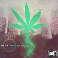 Ysl Dream - Neako