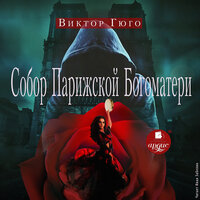 Виктор Гюго. «Собор Парижской Богоматери». Часть 57 - Иван Забелин