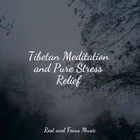 Serene Sleep - Spa Zen & Deep Sleep Music Academy & Sleepy Night Music