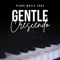 Moonlit Meadow - Piano Music Zone