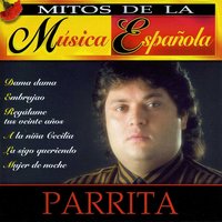 Sally - Parrita
