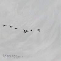 Let Me Draw You Tonight - Gardenia
