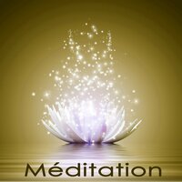 Méditation - Oasis de Méditation