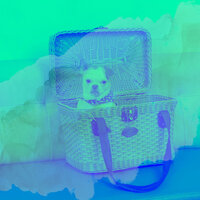 Subdued Doggy Anxiety - Dog Music Library