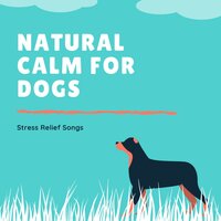 Dog Whisper - Sleeping Songs Lullabies