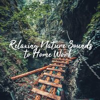 Nature Ambience - Exam Study Music Academy