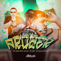 Prazer Fora do Normal - Mc Renatinho Falcão & DJ CHICO OFICIAL & MC Deh