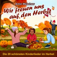 Ein bisschen so wie Martin - Armin Weisshaar & Die Kleinstadthelden