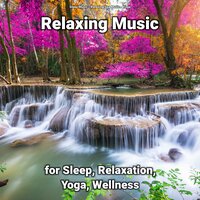Baby Sleep Music - Sleep Music & Relaxing Spa Music & Yoga