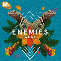 ENEMIES - Woak