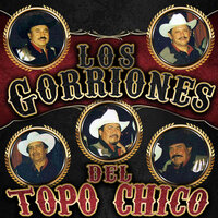 Te Vengo a Buscar - Los Gorriones Del Topo Chico