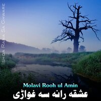 Sa Sho Ayyubi Salahuddin - Molavi Rooh ul Amin