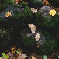 Esperando Suavemente - Música De Relajación Para Dormir Profundamente & Piano para Relajarse & Música Zen Relaxante