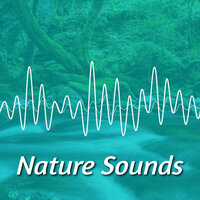 Ambient Music with Ocean Sounds - Zen Universal