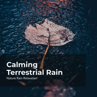 Nature Rainfall Unwind - Rain Recorders & Rainfall & Nature Rain Relaxation